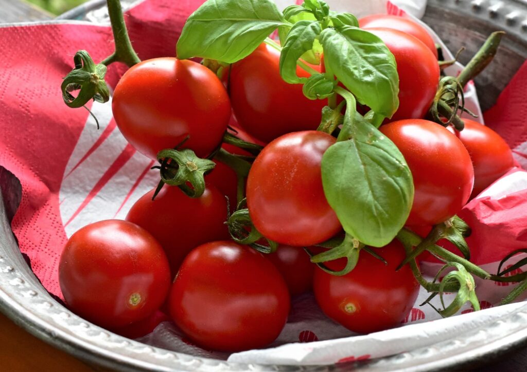 Rote Cherry-Tomaten, garniert mit frischen Basilikum-Blätter.