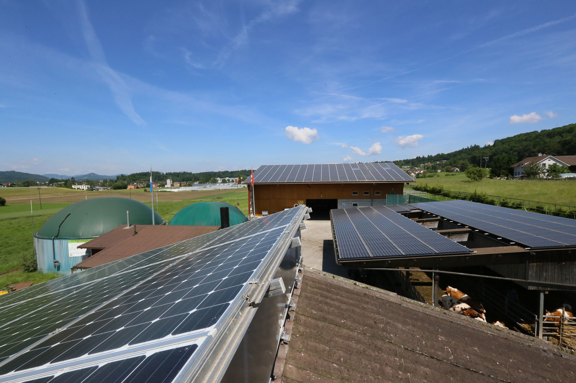 Solaranlagen auf den Ställen auf einem Bauernhof.