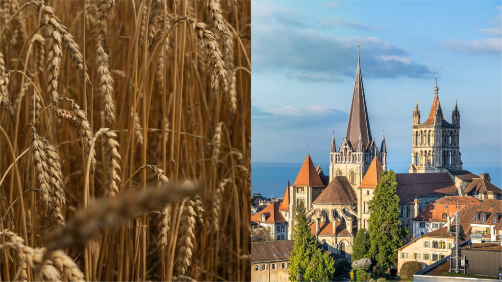 Visual der Hauptkampagne rechts sieht man die Stadt Lausanne und links Getreide