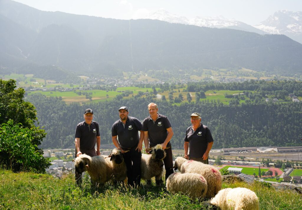 Die Familie Salzmann mit den Schafen auf einer Weide.