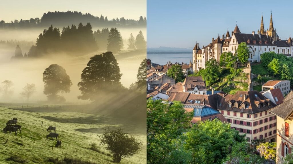 Visual der Hauptkampagne rechts sieht man die Stadt Neuenburg und links Rinder auf der Weide.