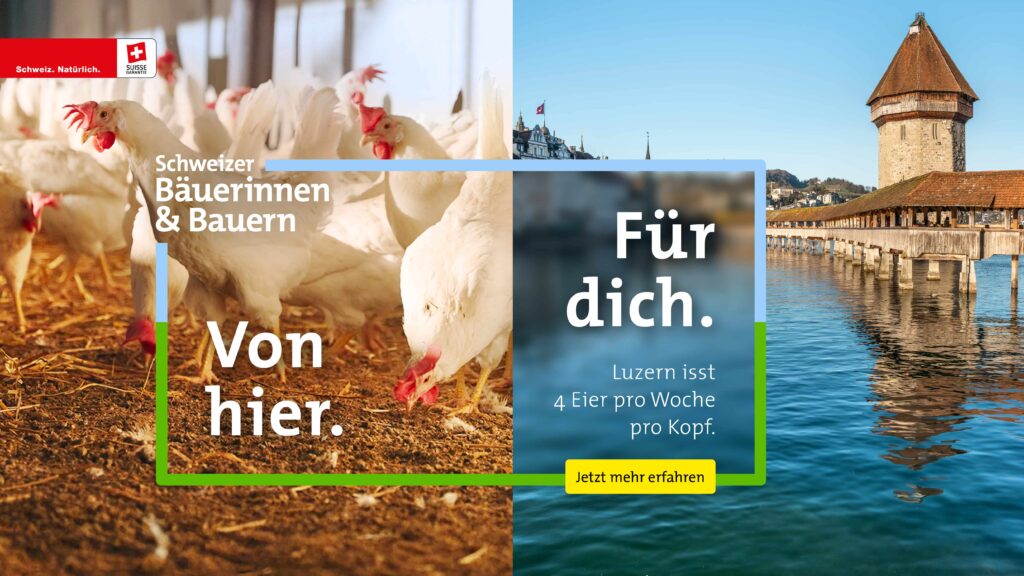 Vsual der Hauptkampagne mit der Stadt Luzern und Hühnern.