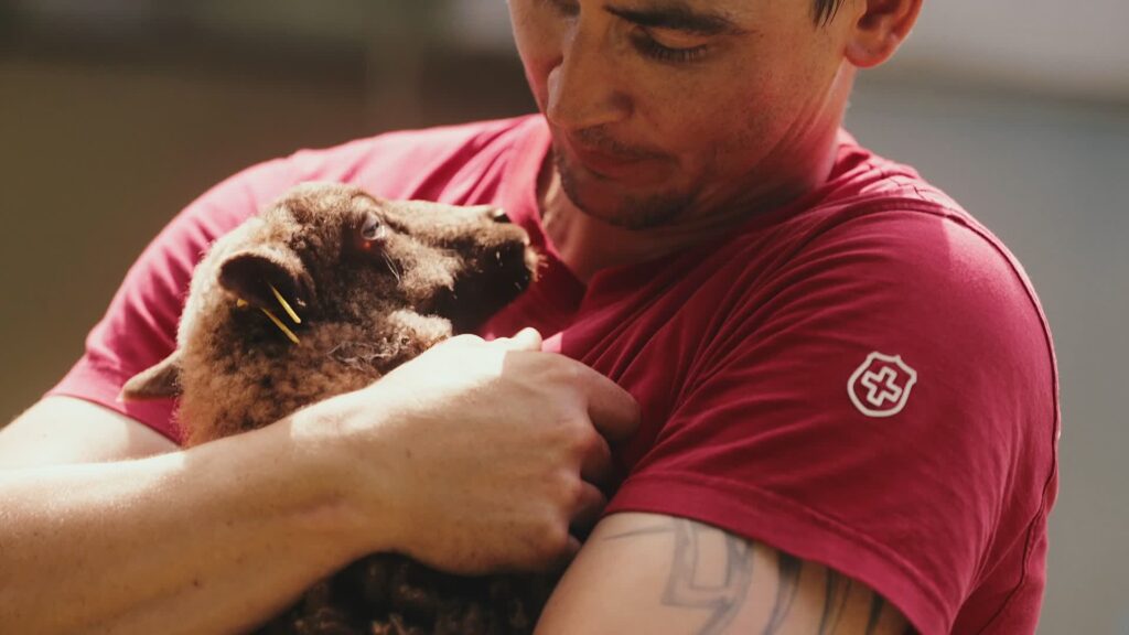 Bauer hält Lamm im Arm