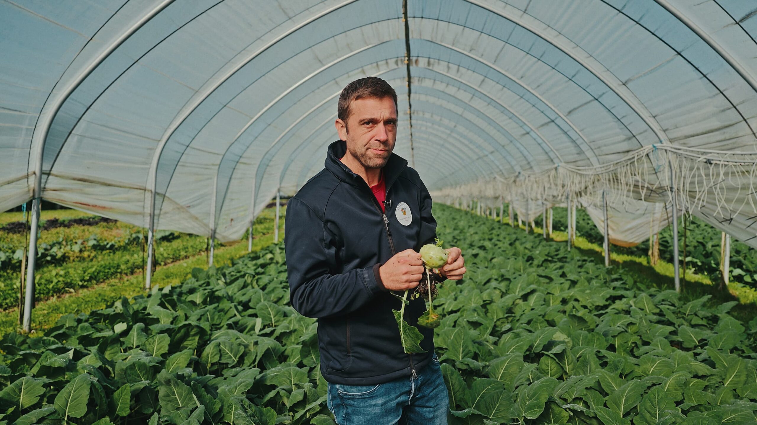 Jonas Boog im Folientunnel mit einem Kohlrabi in der Hand.